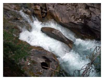 Jumping salmon rock, Johnston Canyon