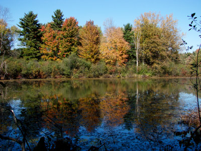 Fall Colors. Tinker State Park. Ohio