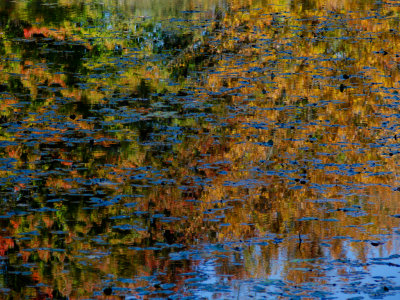 Fall Reflections. Tinker Creek Nature Park. Ohio