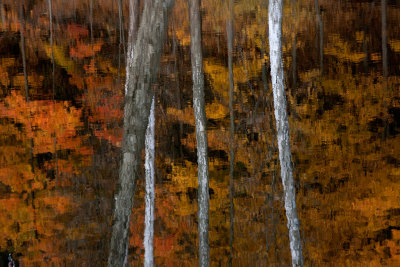 Fall Reflections. Rocky River, Ohio