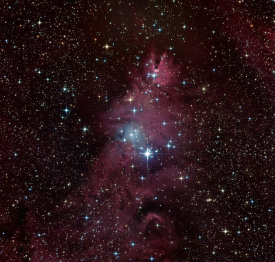Le Christmas Tree Cluster (NGC 2264) et la Nbuleuse du Cne