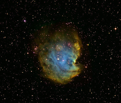 NGC 2175, Monkey Head Nebula