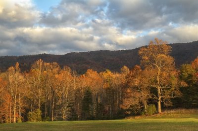 _MG_2685_ Gentle Vista in Cades Cove.jpg