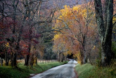 lightroom_-tennessee