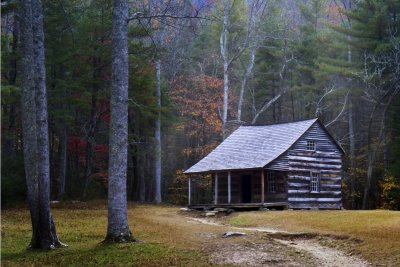 _MG_3424 2Tennessee Cabin In the Woods.jpg