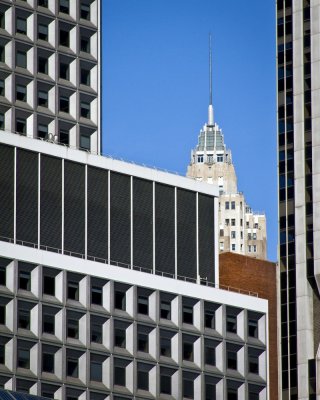 _MG_0210-1.jpg