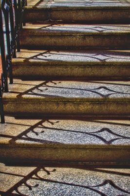_MG_0237diamond steps.jpg