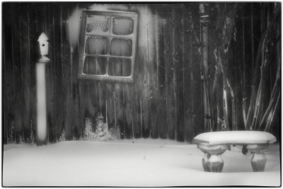_MG_4539 Garden Seat In Blizzard.jpg