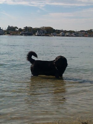 2012-10-23 12:14