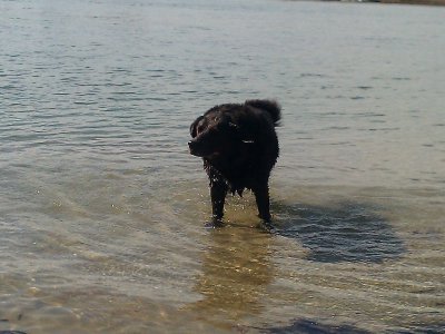 2012-10-23 12:14