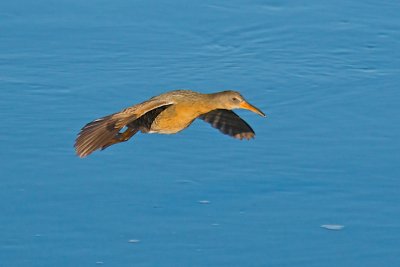 DSC_9717.jpg