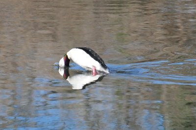 DSC_1292.jpg