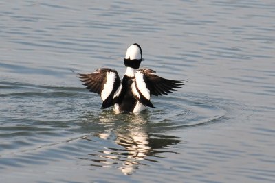 DSC_1865.jpg