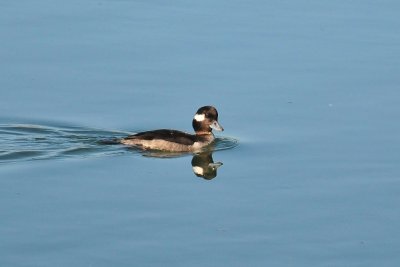 DSC_3707.jpg