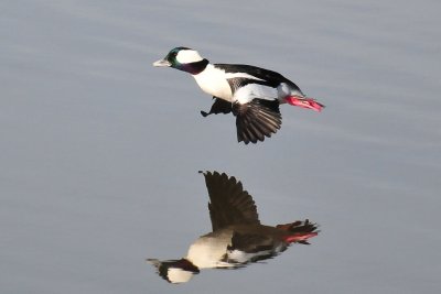 DSC_5216.jpg