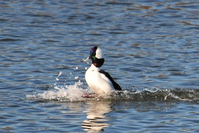 DSC_5644.jpg