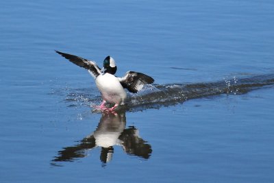 DSC_5967.jpg