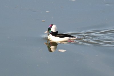 DSC_8267.jpg