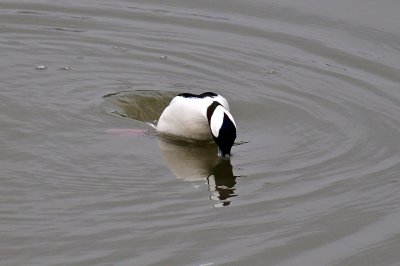 DSC_9573.jpg