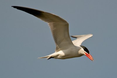 DSC_3589.jpg