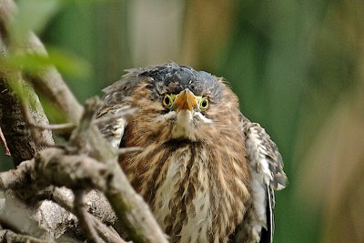 DSC_1479.jpg