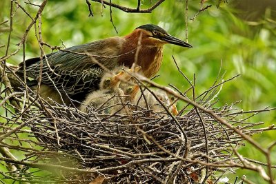 DSC_3559.jpg