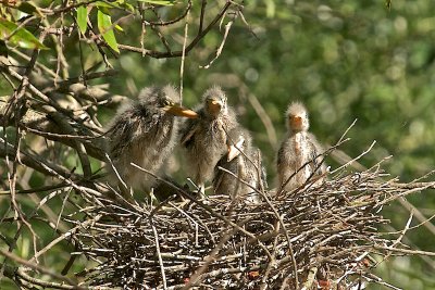 DSC_5864.jpg
