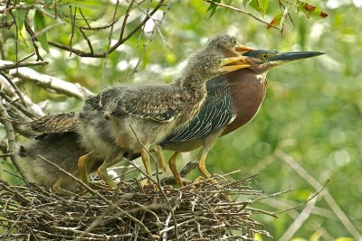 DSC_6567.jpg