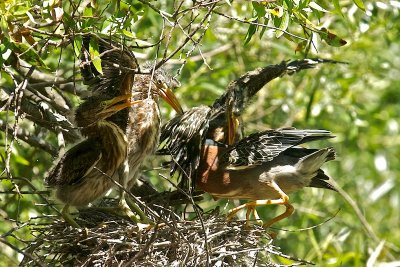 DSC_7165.jpg