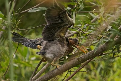 DSC_8220.jpg