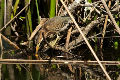 DSC_9760.jpg