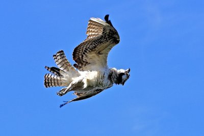 DSC_0173.jpg