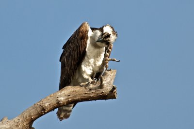 DSC_0669.jpg