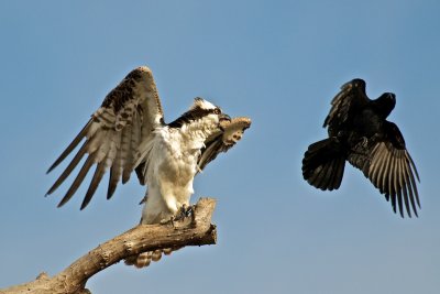 DSC_0680.jpg