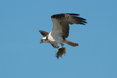 DSC_4902.jpg