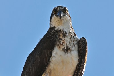 DSC_8834.jpg