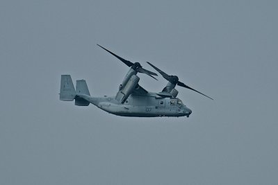 DSC_8837.jpg