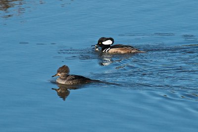 DSC_8482.jpg