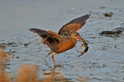 DSC_7465.jpg