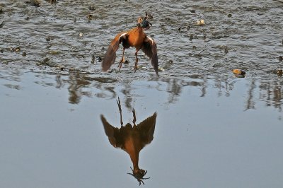 DSC_7450.jpg