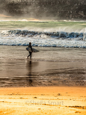 Palm Beach winter surfer 