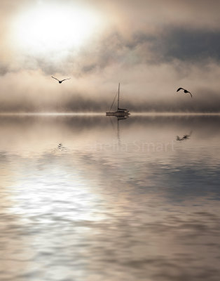 Yacht in mist with two gulls