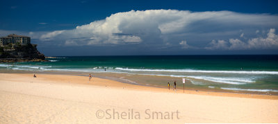 Manly Beach panorama 