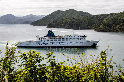 Interislander ferry at Picton 