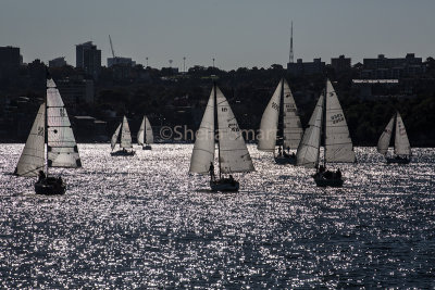 Downwind yacht race on Sydney Harbour 