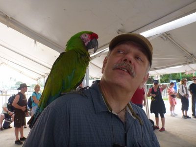 Andy and the Macaw
