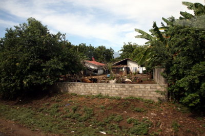 g2/94/431694/3/148168552.hkAuMGfx.jpg
