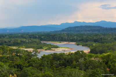 the jungle overlooking the river and the Macaws flying