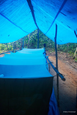 our campsite near the Macaw Viewpoint