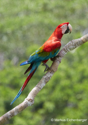 and this one was just posing for me